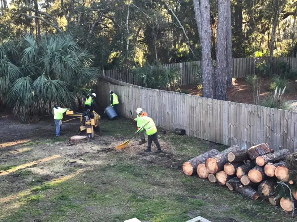 Hazard Tree Assessment In Savannah Ga | Certified Arborists | Longwater Tree Service 13 Workers Installing A Wooden Fence In A Backyard Near Stacked Logs.