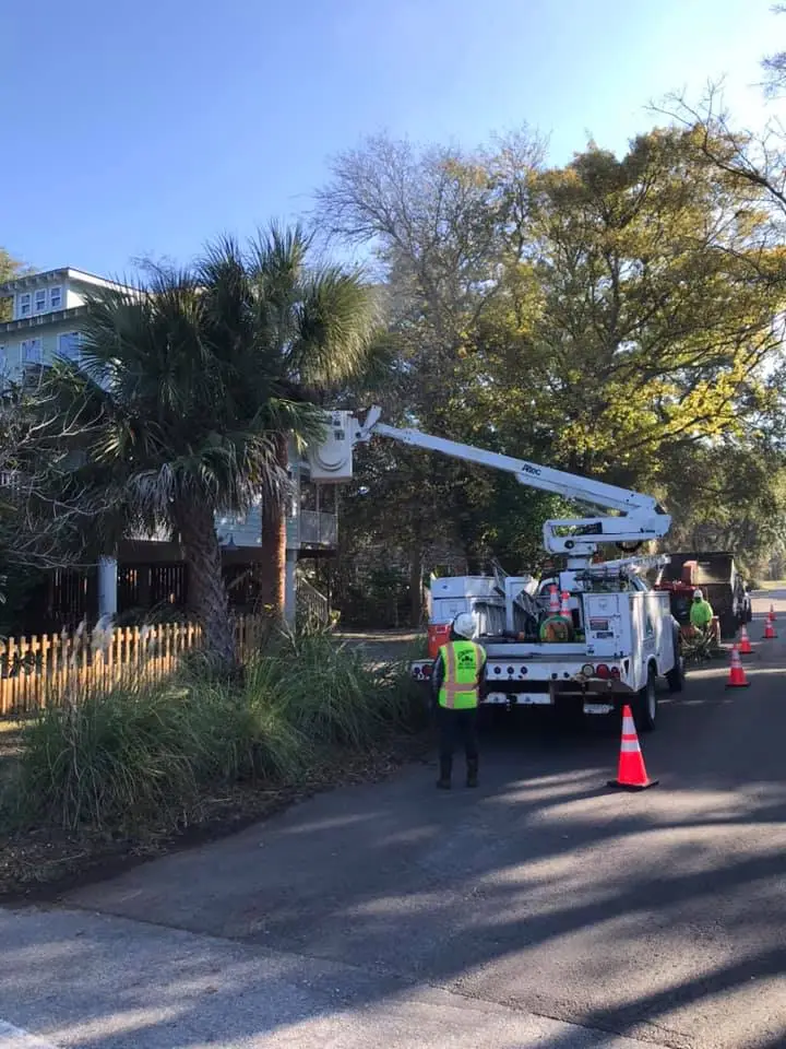 Hazard Tree Assessment In Savannah Ga | Certified Arborists | Longwater Tree Service 4 Utility Workers Inspecting A Tree From A Bucket Truck Near A Residential Street.