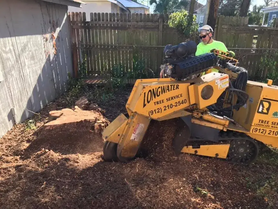 Tree Stump Grinding Machine In Backyard Operation.