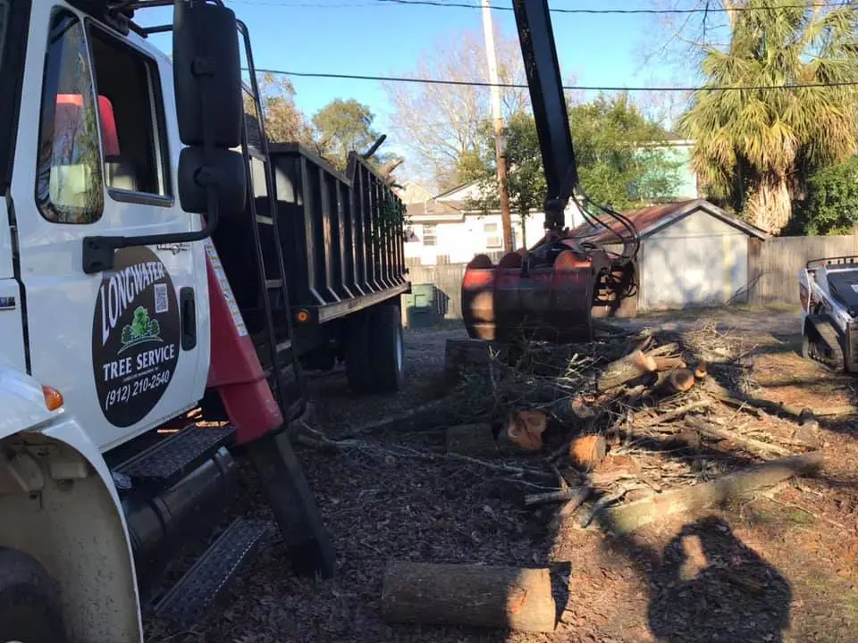 Hazard Tree Assessment In Savannah Ga | Certified Arborists | Longwater Tree Service 5 Excavator Digging Near A Building On A Sunny Day.