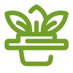 Green Plant Growing In A Pot With Two Leaves.
