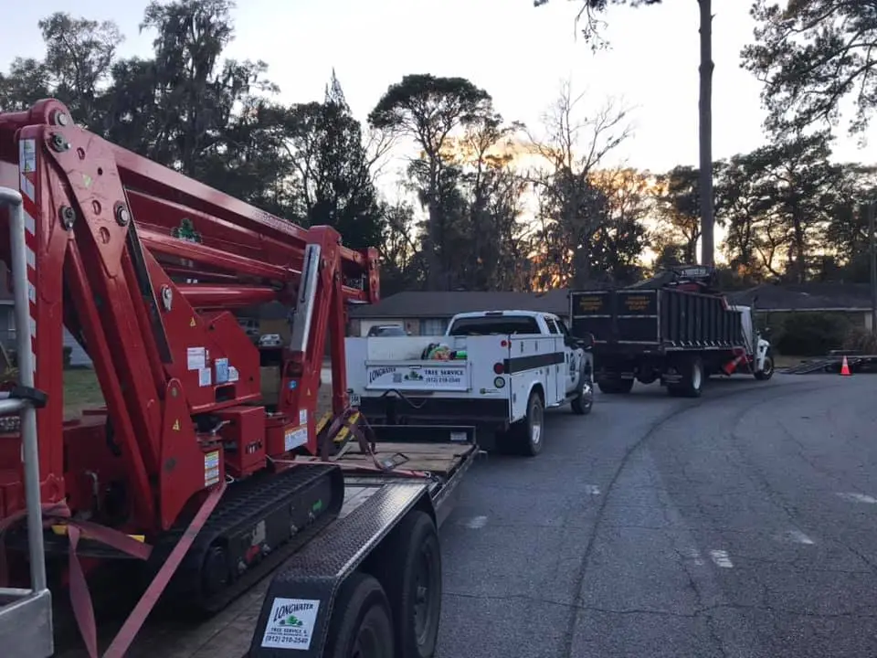 Hazard Tree Assessment In Savannah Ga | Certified Arborists | Longwater Tree Service 12 Trucks And Trailers Lined Up On A Road During Sunset.