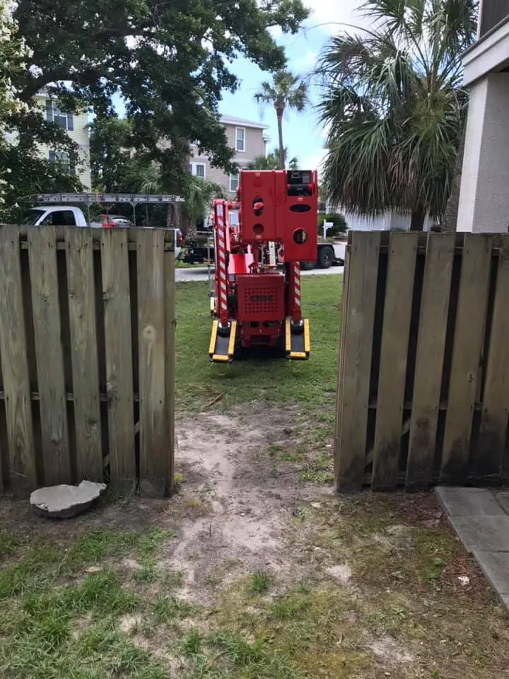 Hazard Tree Assessment In Savannah Ga | Certified Arborists | Longwater Tree Service 19 A Red Robot Toy On A Yellow Skateboard Between Two Wooden Fences.