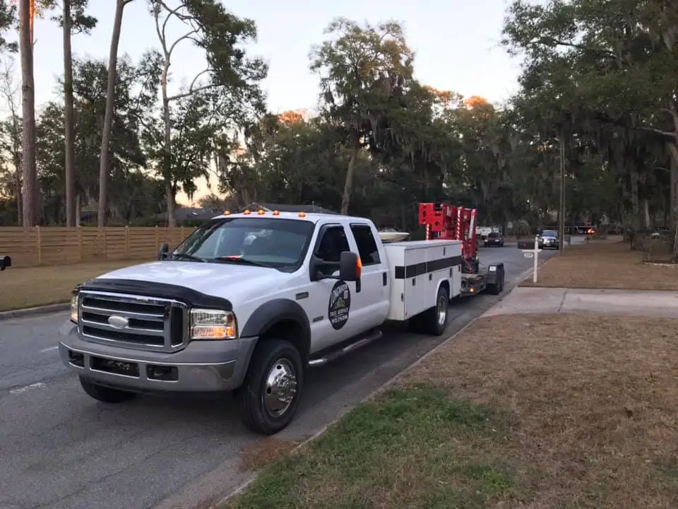 Hazard Tree Assessment In Savannah Ga | Certified Arborists | Longwater Tree Service 9 A White Truck Parked On A Road With Equipment In Its Bed And Trees In The Background.