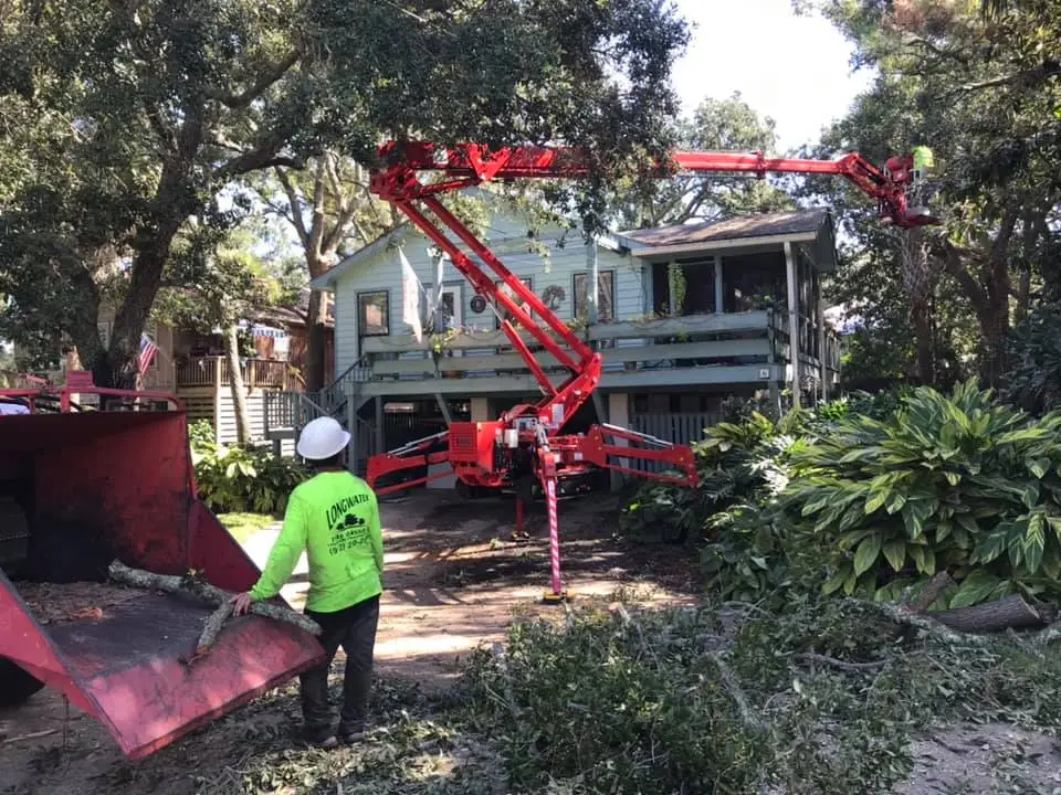 Hazard Tree Assessment In Savannah Ga | Certified Arborists | Longwater Tree Service 15 Worker Operating A Red Cherry Picker Near A House Surrounded By Trees.