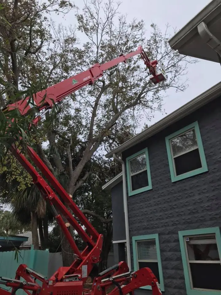 Hazard Tree Assessment In Savannah Ga | Certified Arborists | Longwater Tree Service 8 Red Crane Lifting Materials Near A Gray Building Under Trees.