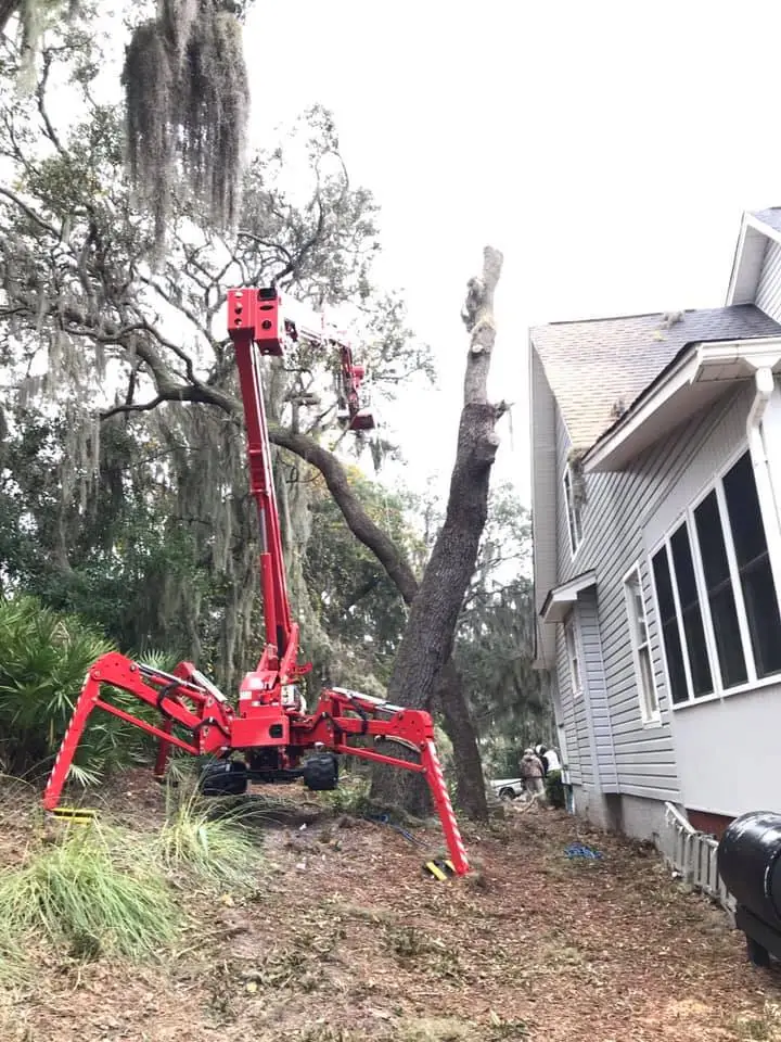 Hazard Tree Assessment In Savannah Ga | Certified Arborists | Longwater Tree Service 11 A Red Spider Lift Trimming Tall Trees Beside A House.