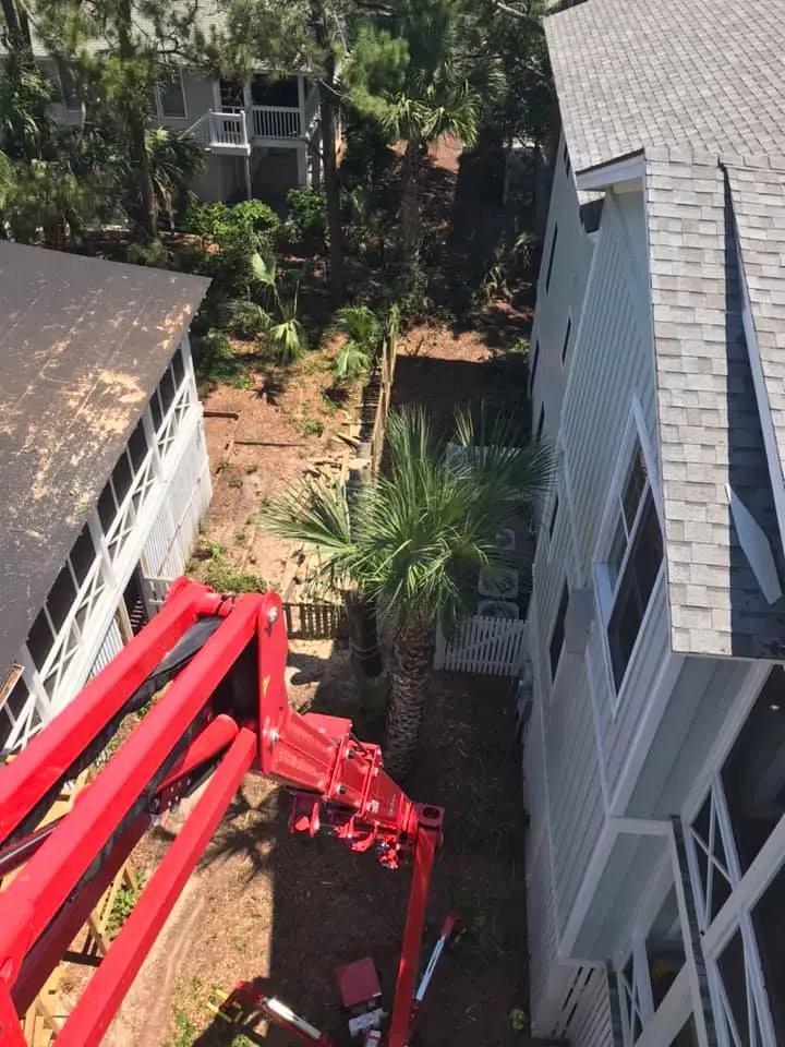 Hazard Tree Assessment In Savannah Ga | Certified Arborists | Longwater Tree Service 20 View Of A Backyard With A Red Crane Between Two Buildings.