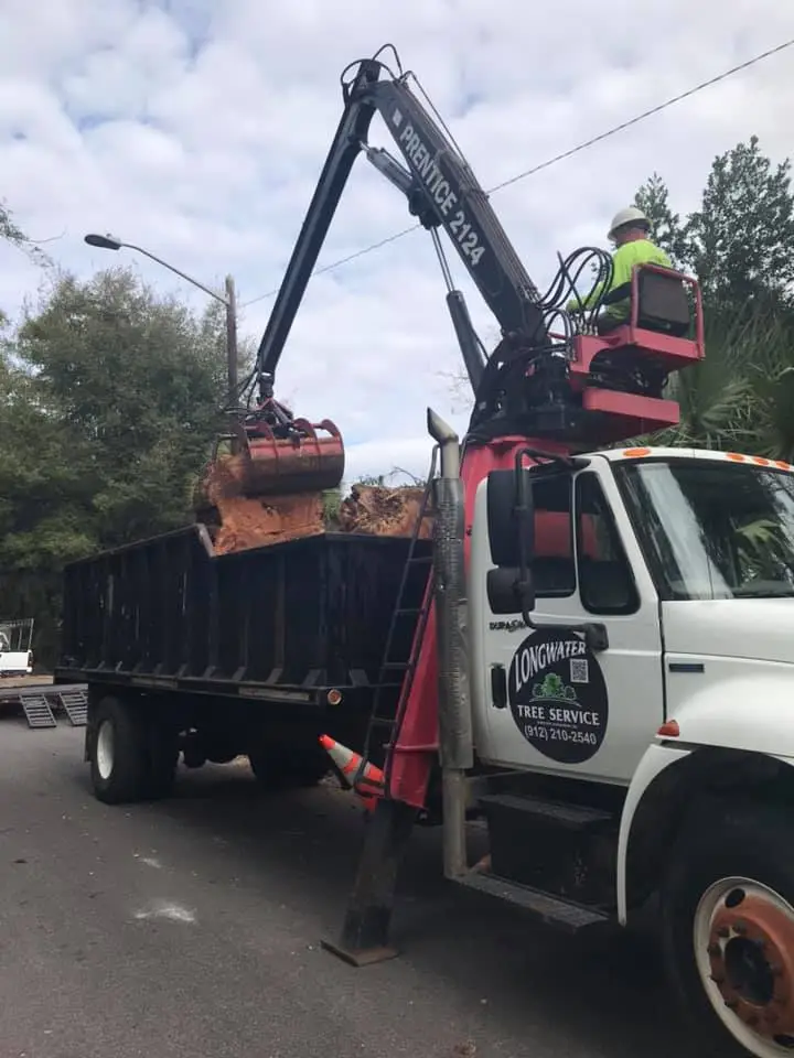 Hazard Tree Assessment In Savannah Ga | Certified Arborists | Longwater Tree Service 16 A Crane Truck Loading Debris Into Its Container On A Cloudy Day.