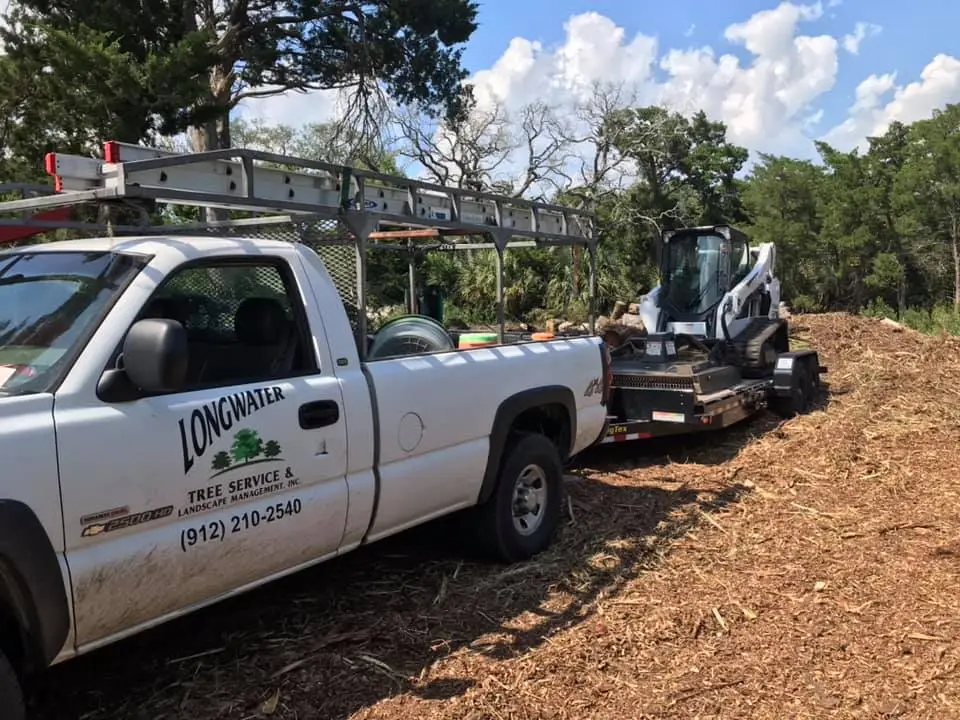 Hazard Tree Assessment In Savannah Ga | Certified Arborists | Longwater Tree Service 17 Work Truck And Equipment At A Landscaping Site Under A Cloudy Sky.