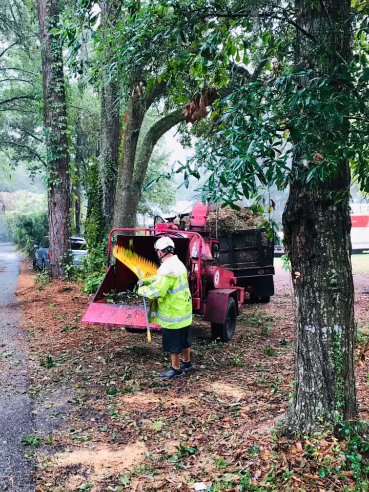 Hazard Tree Assessment In Savannah Ga | Certified Arborists | Longwater Tree Service 14 Worker In A Raincoat Operates A Wood Chipper In A Forested Area.