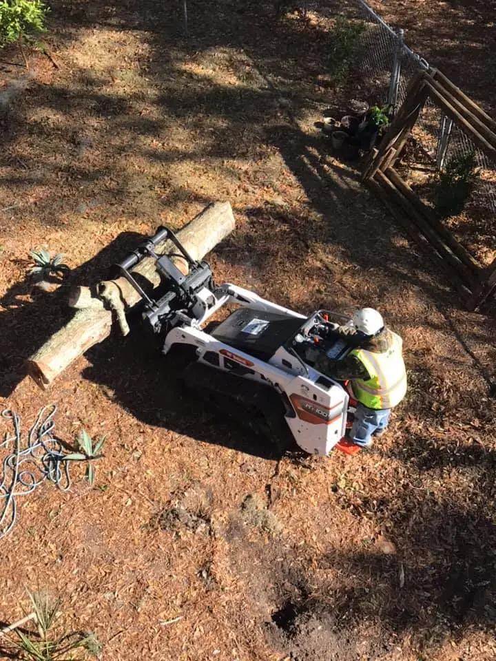 Hazard Tree Assessment In Savannah Ga | Certified Arborists | Longwater Tree Service 7 Person Cutting A Log With A Chainsaw Outdoors.